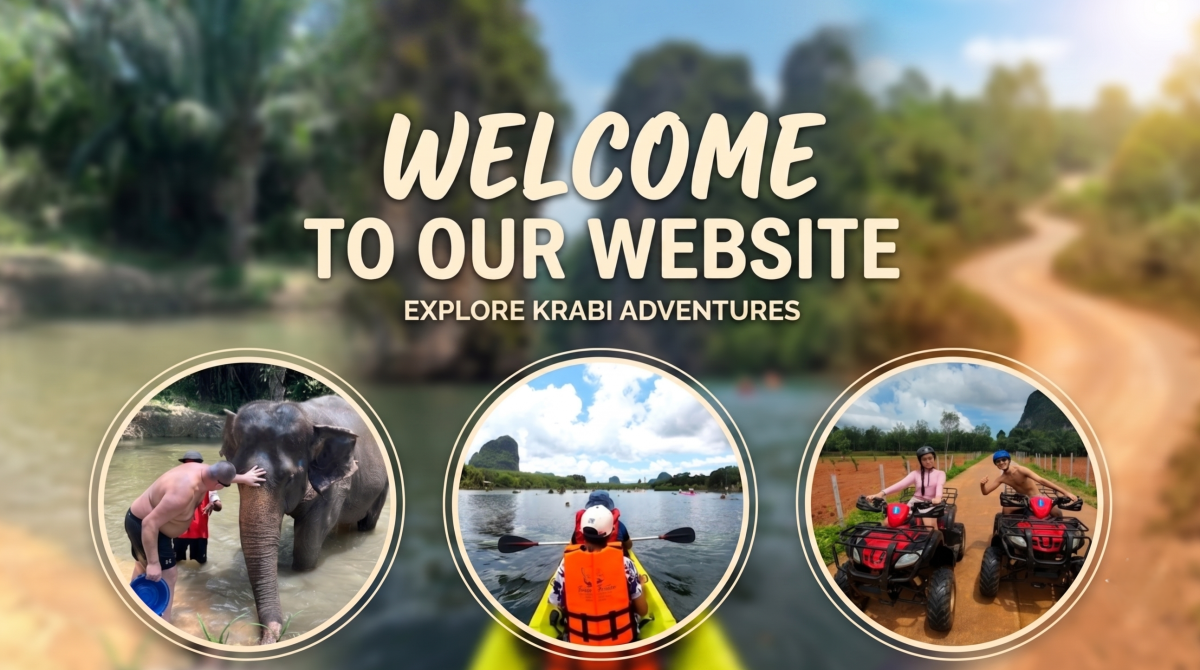 Enter the website