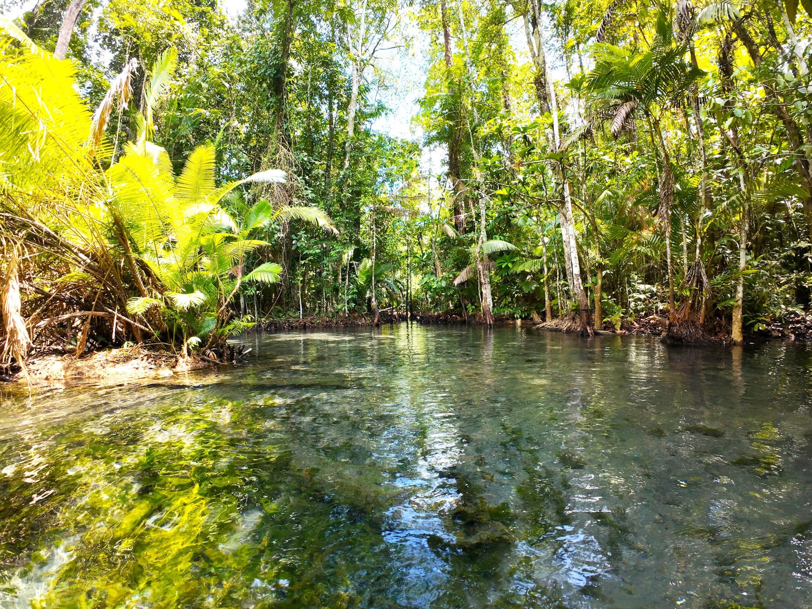 Kayaking Klong Root + ATV - 1 hour - Driver