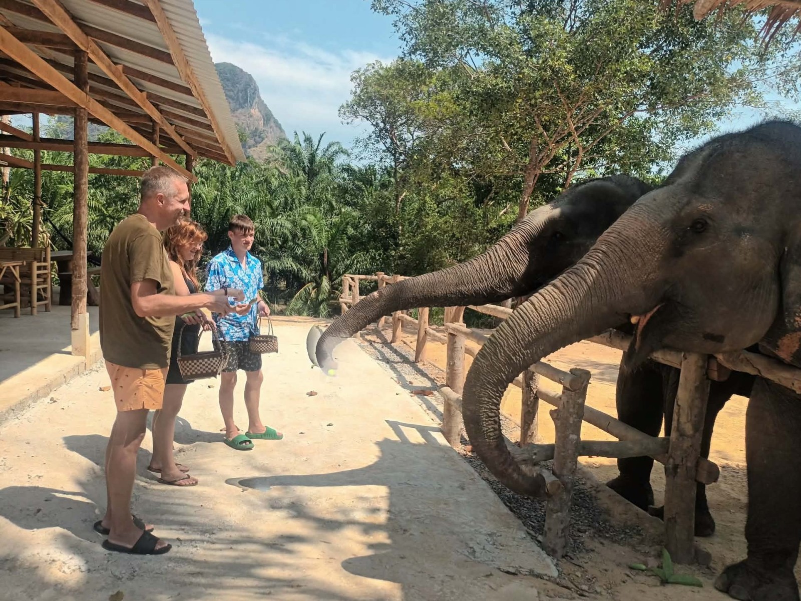 ATV 30 min + Elephant Feeding - Driver
