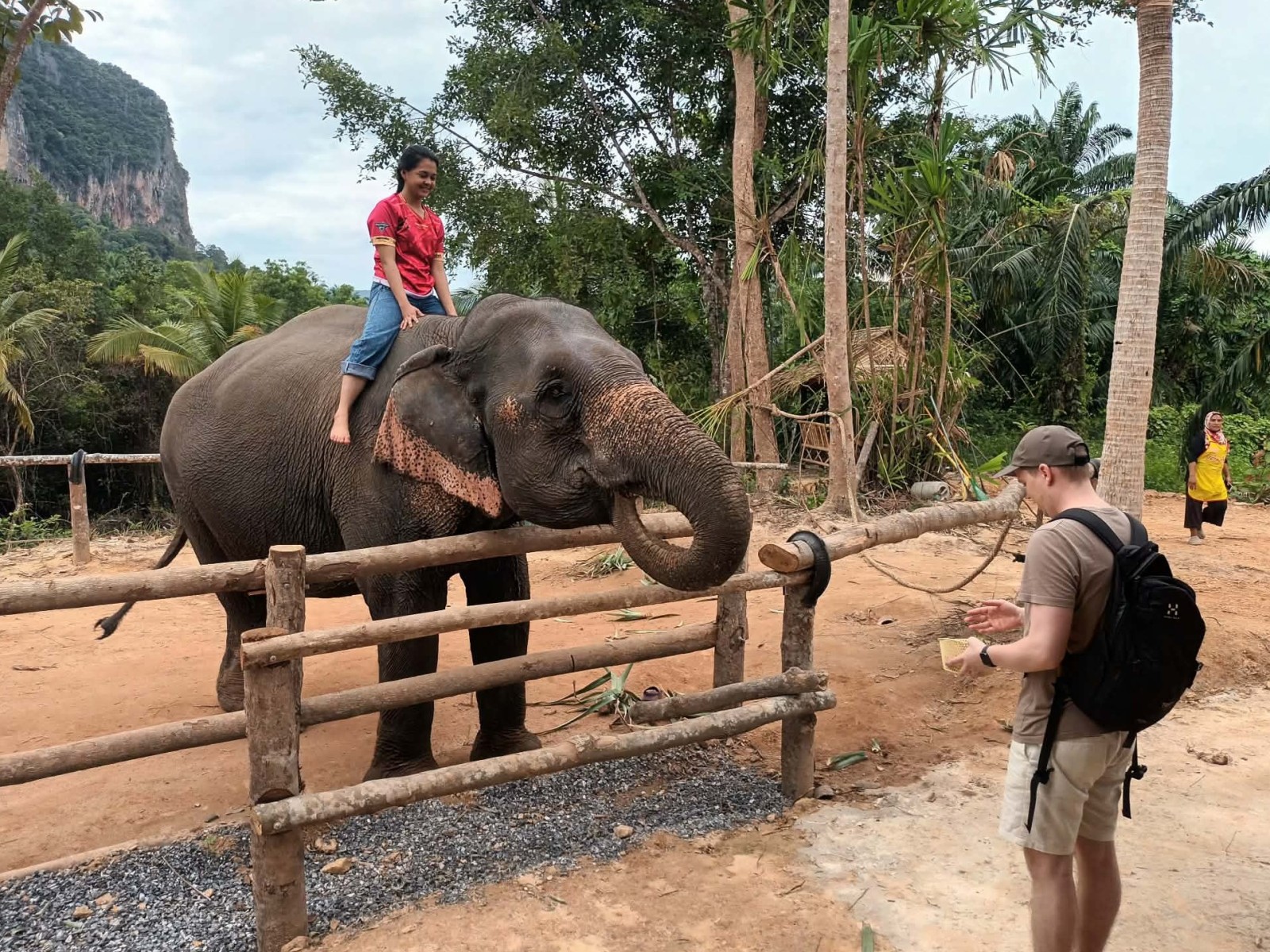 ATV 45 min + Elephant Feeding - Driver