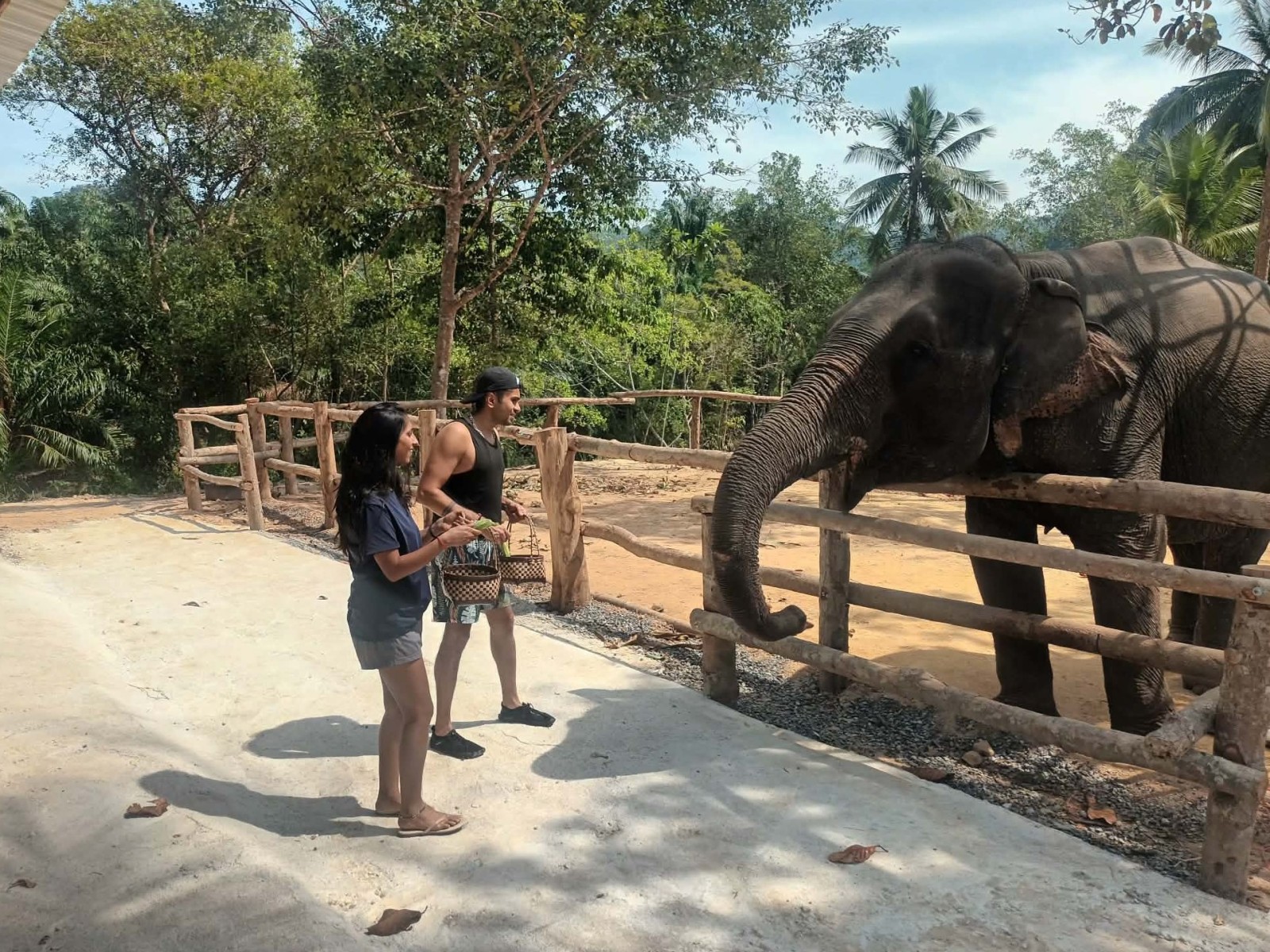 ATV 1 hour + Elephant Feeding - Driver