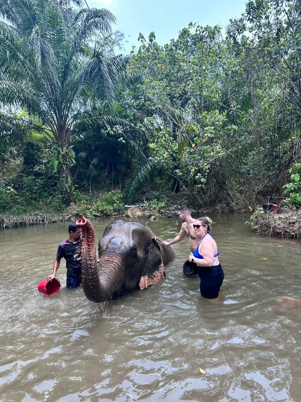 ATV 1 hour + Elephant Bathing + Feeding - Driver