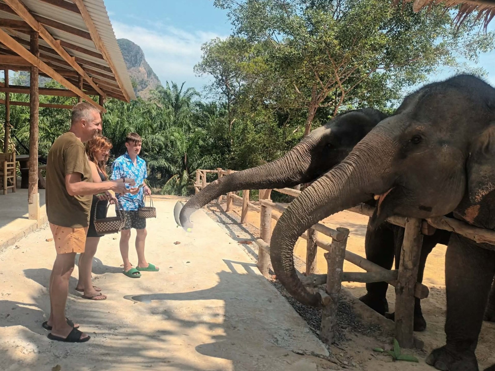 ATV 20 min + Elephant Feeding - Driver