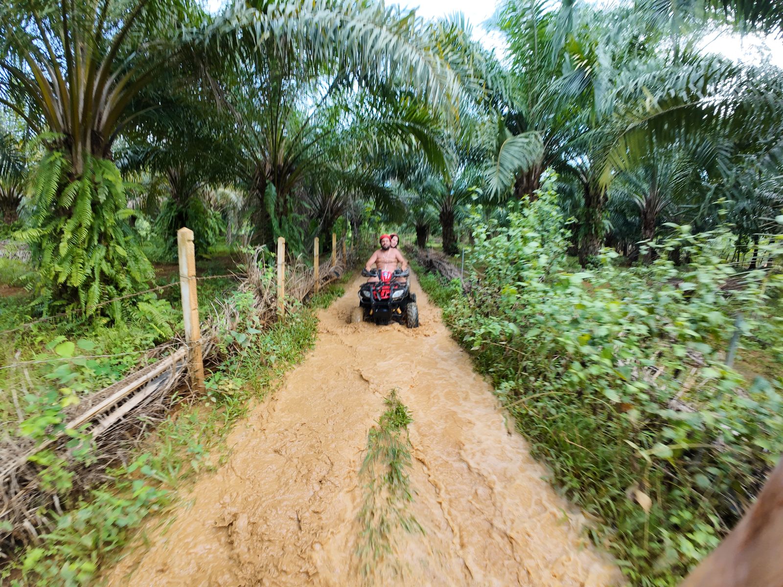 Krabi: ATV adventure 1 hour photo 3