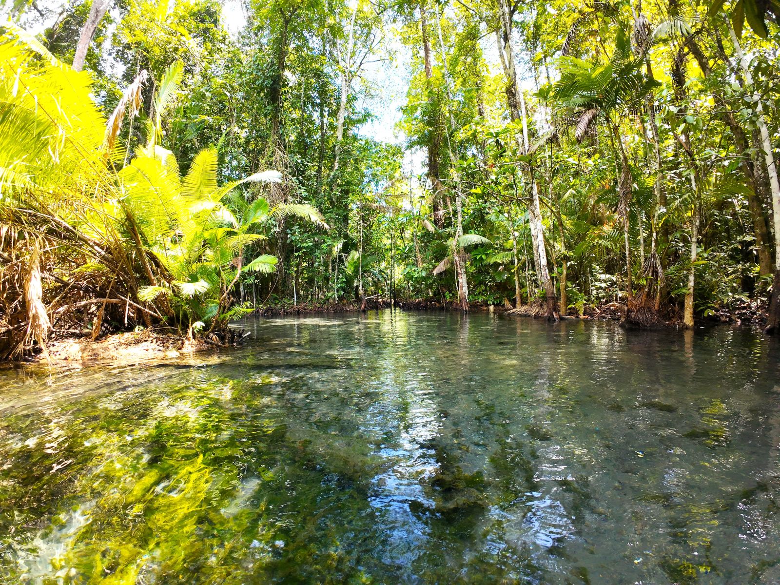 Kayaking Klong Root + ATV - 30 min photo 2