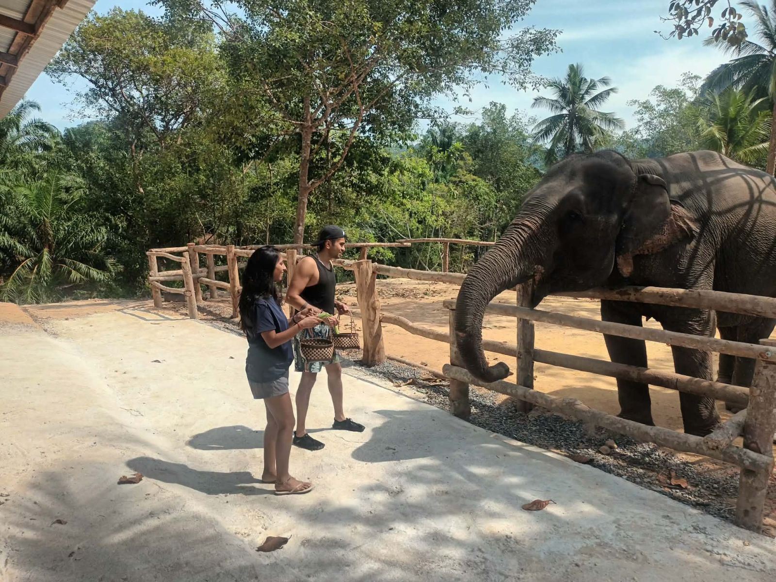 ATV 30 min + Elephant Bathing + Feeding photo 2