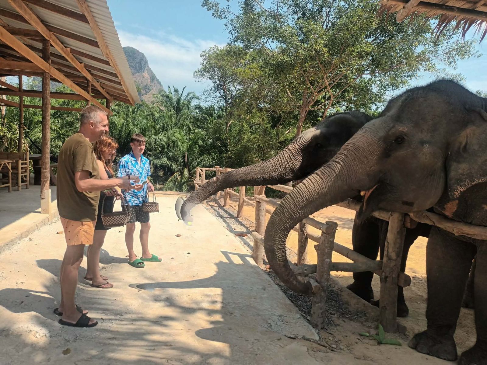 ATV 1 hour + Elephant Bathing + Feeding photo 2