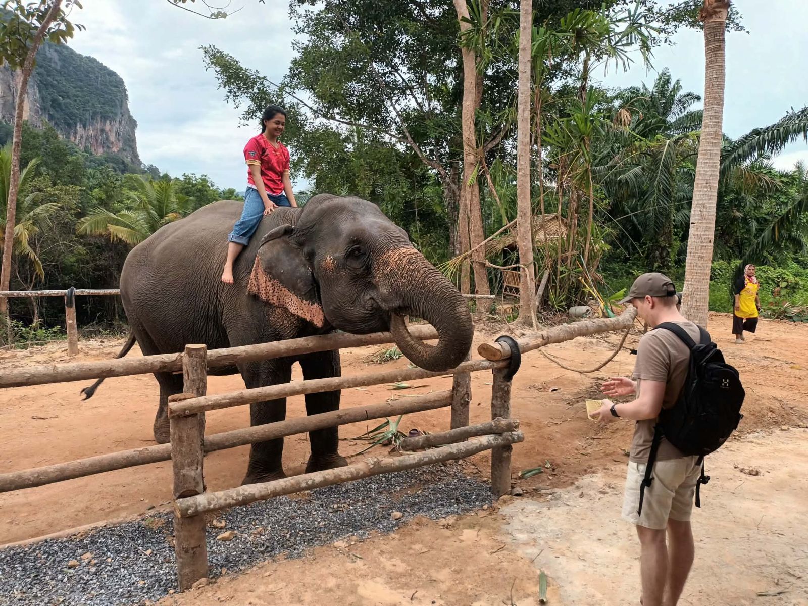ATV 20 min + Elephant Bathing 30 mins + Feeding photo 3