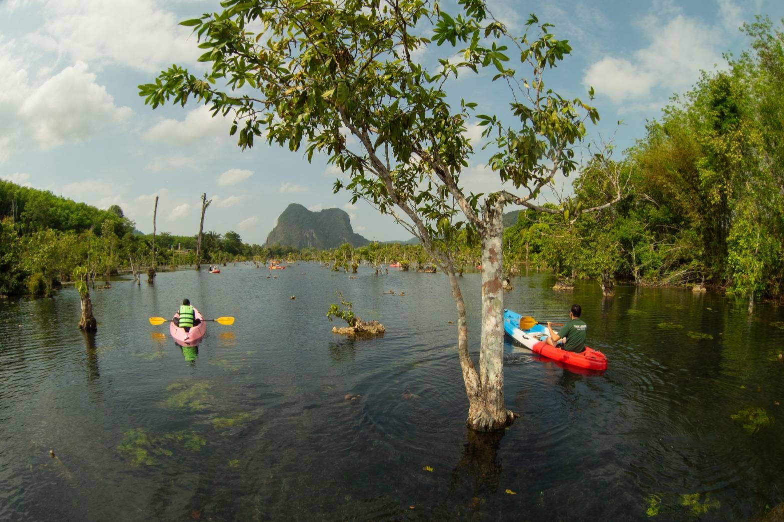 Krabi: Kayaking Klong Root + ATV Adventure - 45 min photo 7