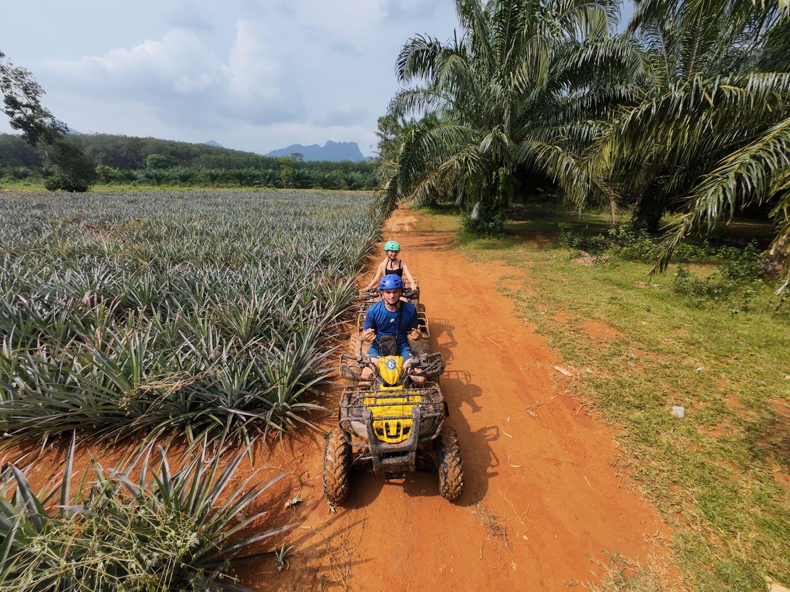 Atv krabi
