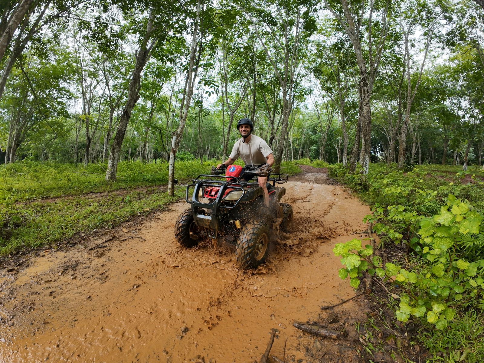 Krabi: ATV Adventure 30,45,60 min + Elephant Bathing + Feeding photo 2